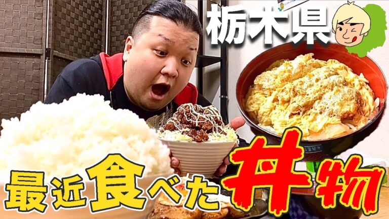 【栃木グルメ】最近食べた丼物まとめ【カツ丼・焼肉丼・豚丼🍚】