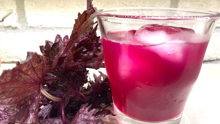 簡単赤しそジュース