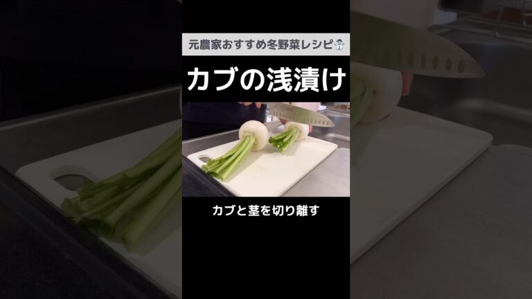 ぜひ作って欲しい！塩昆布とカブの浅漬け｜元農家おすすめ野菜レシピ