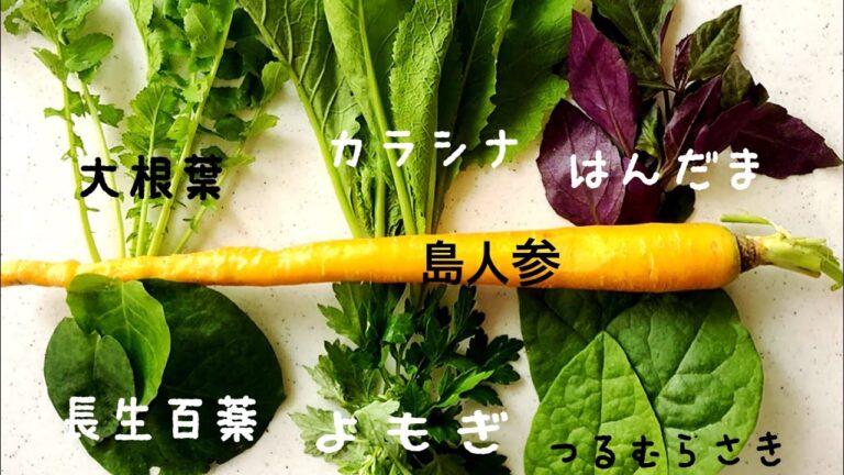 沖縄野菜で七草粥 #七草粥#沖縄#野菜#食育