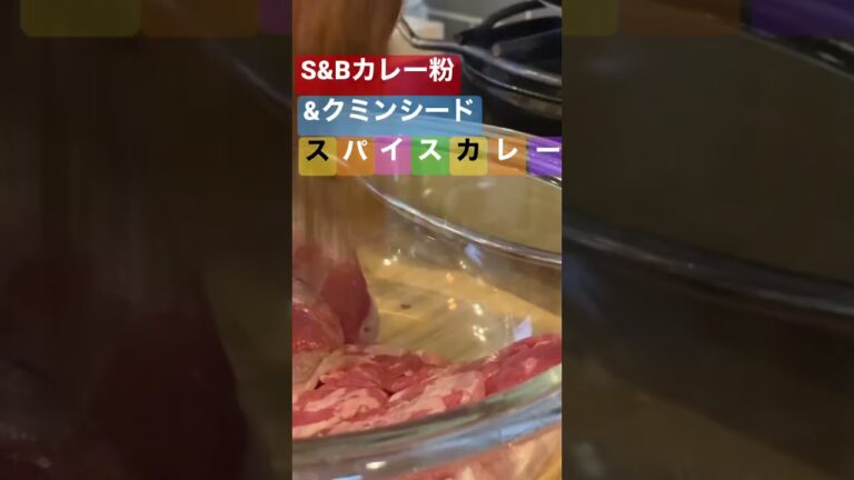S &Bカレー粉とクミンシードで簡単スパイスカレー