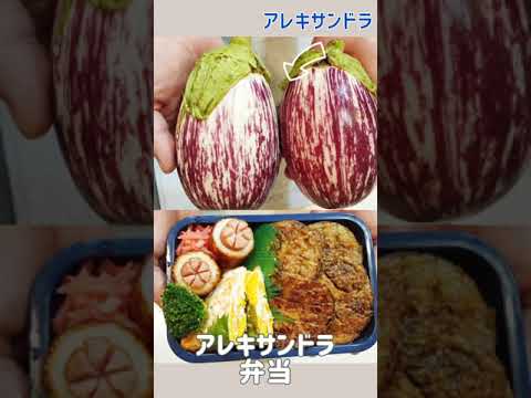 【男子中学生】苦手な茄子が食べられるようになった！なす弁当
