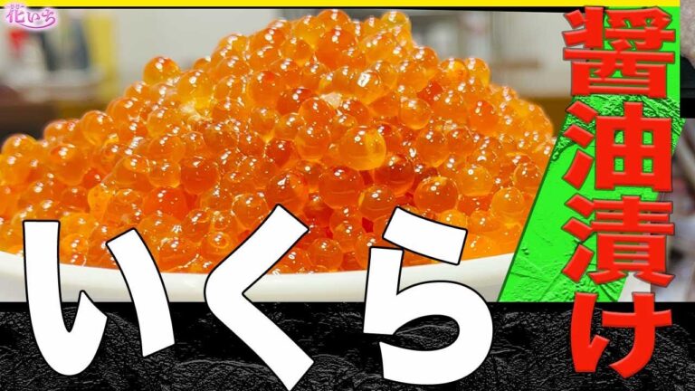【いくら醤油漬け】プロのレシピ！美味しい旬のいくら醤油漬けの作り方コツ教えます！
