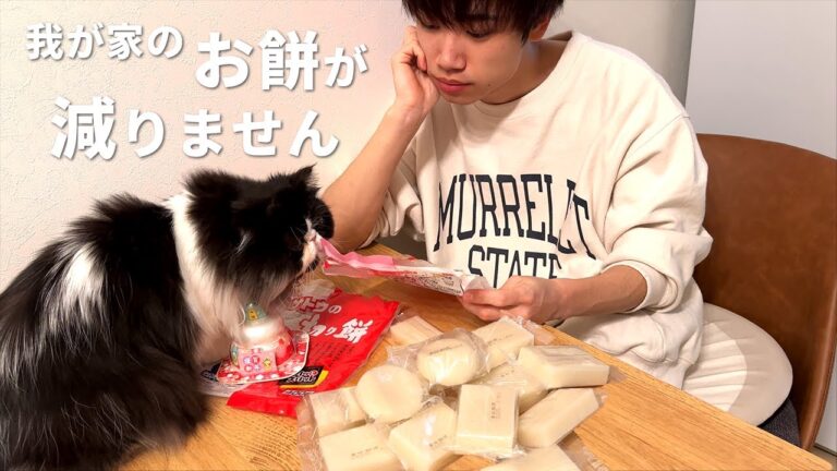 余ったお餅はとりあえずこれ！お餅を上手に消費するアレンジレシピ2品【お餅トッポギ】