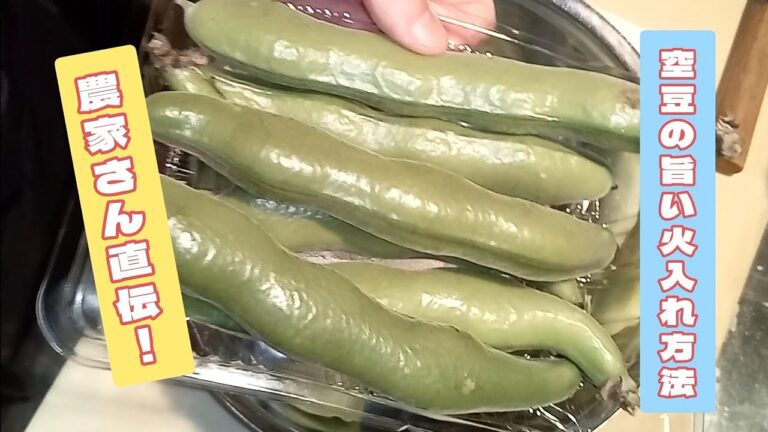 農家さん直伝！美味しい空豆の火入れ方法！普通に茹でるより、体感3割くらい美味しくなります！