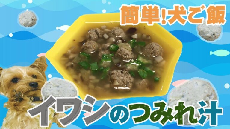 【愛犬手作りご飯】血液リフレッシュ！サラサラ効果「イワシのつみれ汁」