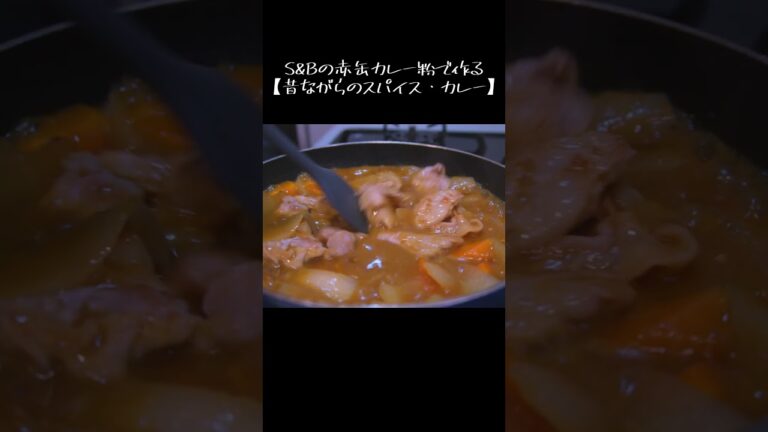 S＆Bの赤缶カレー粉で作る【昔ながらのスパイス・カレー】#shorts
