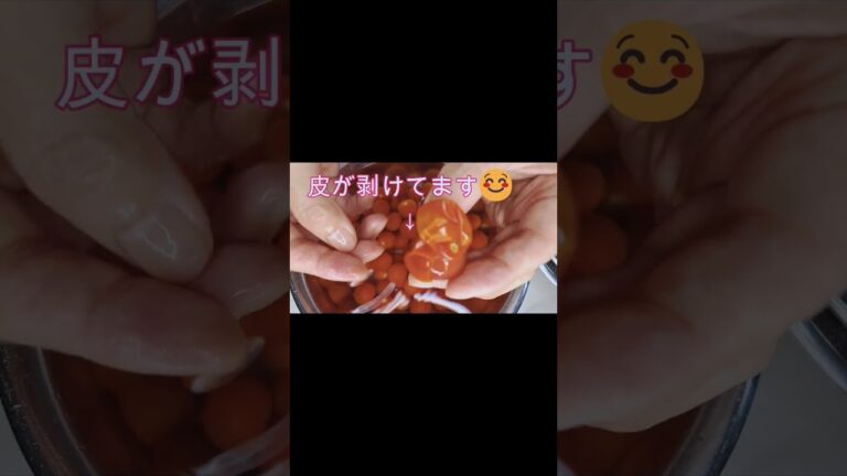プチトマト🍅の皮むき#簡単#トマト#皮むき #プチトマト #トマト #時短 #shorts #トマトサラダ#サラダ
