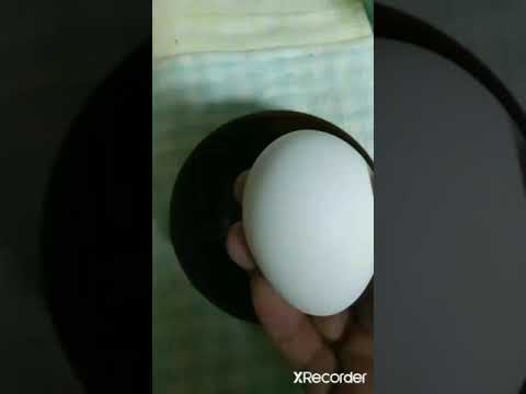 アラフィフおでぶの、ぶちギレどSダイエット飯/片手で卵１個玉子焼き、糖質0で問題はナシ！(ままよchannelレシピ)