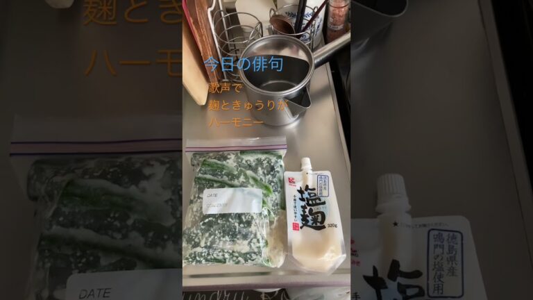 きゅうり塩麹づけ北海道米子ちゃん