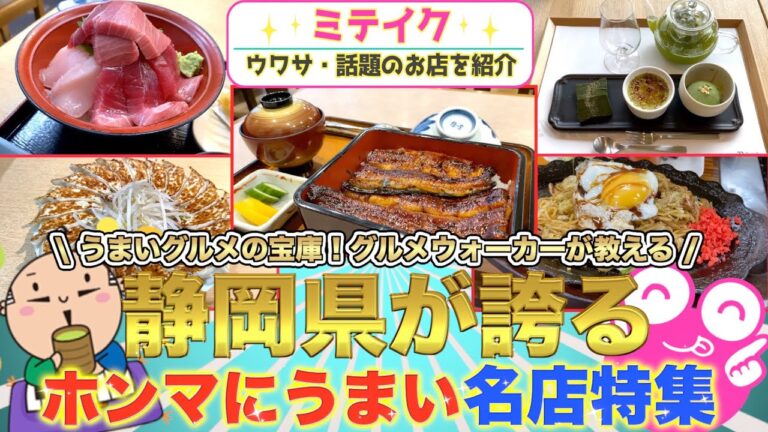 【静岡グルメ・観光】グルメウォーカーが教える静岡観光地のホンマに美味しいグルメ&ご当地グルメをご紹介