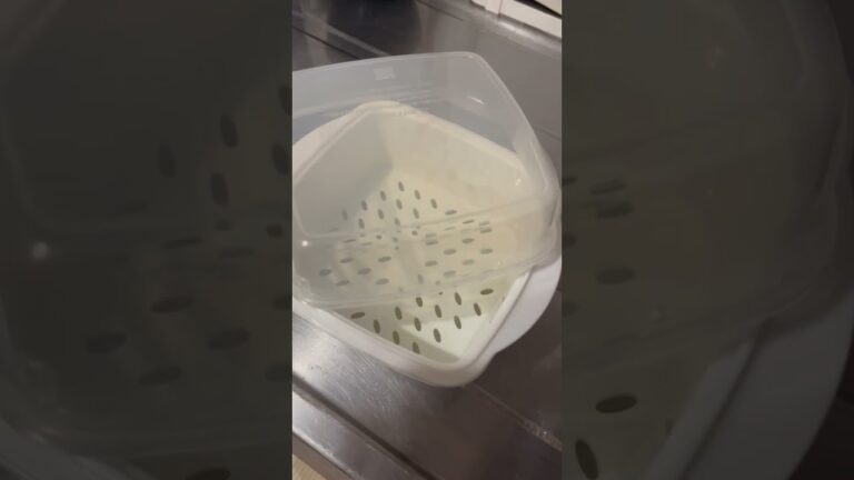 【口コミ】DAISO 電子レンジ調理器　温野菜