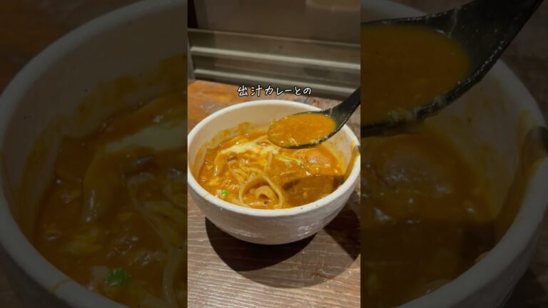 【池袋】古民家風の隠れた名店！絶品カレーうどん【カレーうどん ひかりTOKYO】 #池袋 #グルメ #池袋美食