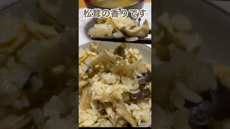 #shorts  松茸風味きのこご飯　安価で簡単　きのこたっぷりご飯です🍄