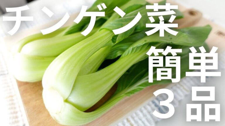 【ビールやハイボールに合う！】チンゲン菜を使った簡単料理3品【bok choy recipe】