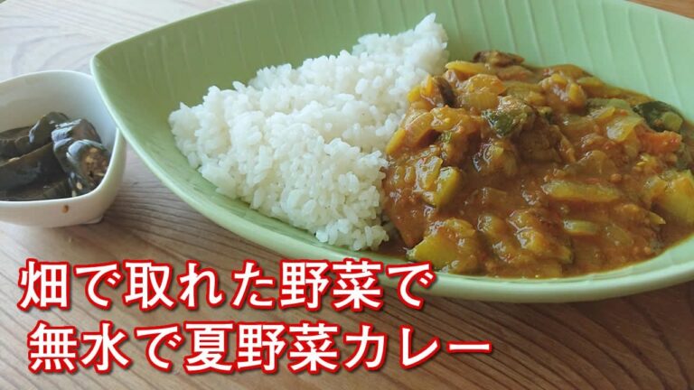 畑で取れた野菜で無水夏野菜カレー作りました　#シシリアンルージュ　#ロッソナポリタン
