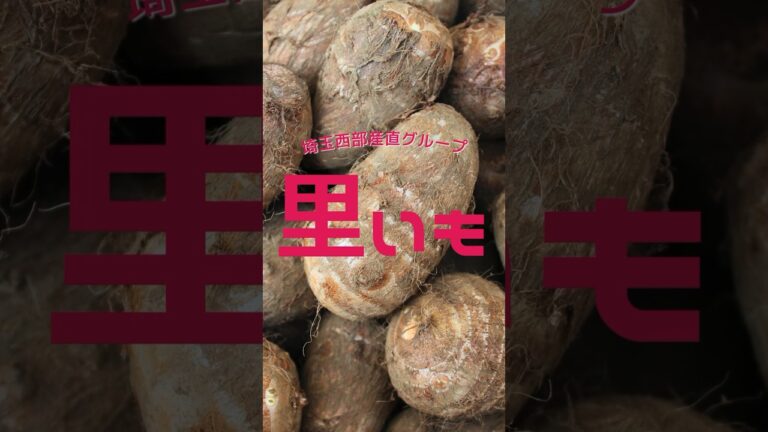 ほっこりした味わい🤎里いも　#shorts #里芋 #野菜