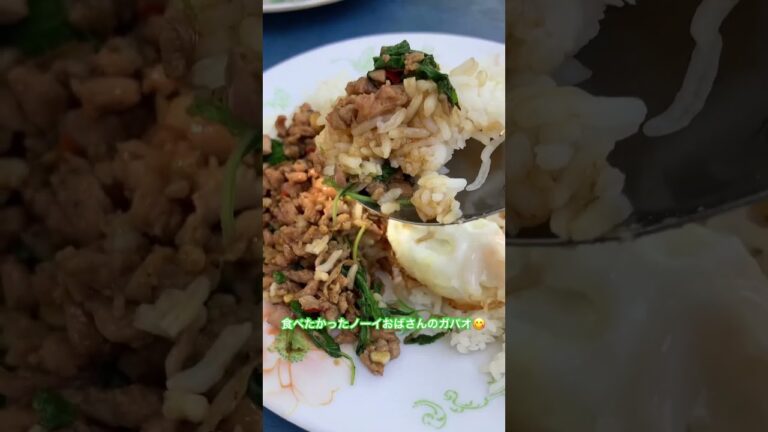 ノーイおばさんの『ガパオライス』を屋台で食べてみた！ #屋台飯 #タイ #グルメ #バンコク