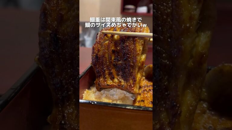 【静岡グルメ】浜松に観光来たらいくべき鰻屋4選！