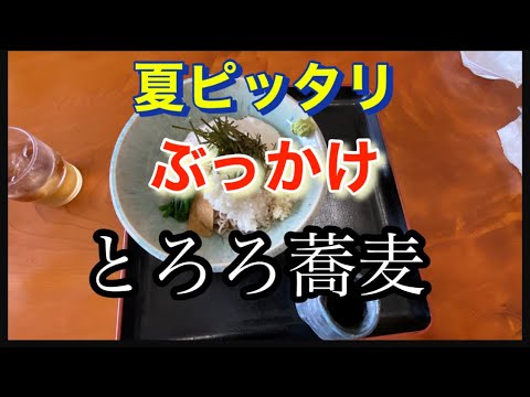 ふじしめ『ぶっかけとろろ蕎麦』