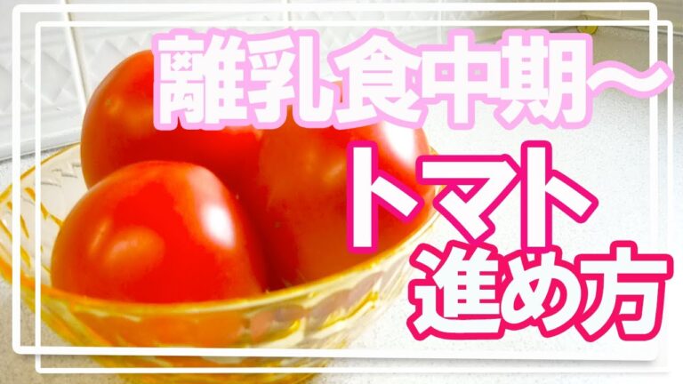 【離乳食 中期】トマト/トマトの進め方って！？/トマトの大きさ、硬さってわからない！何か、トマトを使ったレシピはないの！？この動画で解決！！