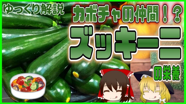 【ゆっくり解説】キュウリじゃない！？ズッキーニの栄養についてゆっくり解説！