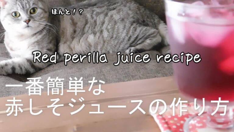 SUB【 作ってみようと思えるレシピ 】一番簡単な赤紫蘇ジュースの作り方｜目分量でどんどん作って飲みます！｜紫蘇シロップ