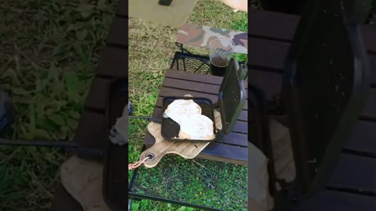 『ホットサンドメーカー』餃子の皮でベーコンチーズの挟み焼き‼️#shorts
