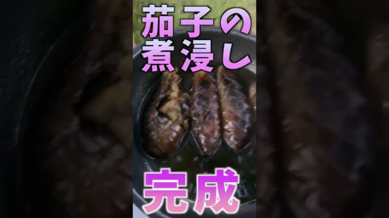 誰でも簡単!!キャンプ飯 茄子の煮浸し #shorts