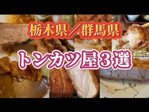 【総集編】栃木、群馬のトンカツ屋3選😊💓どれも厚みばっちり🥺✌️お得なレディースセットや米がはかどりすぎるボリューム豚さん🐽やっぱトンカツは最高で最強🥺👏