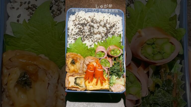 【厚揚げのしそチーズ肉巻き弁当】マジで結構な労力使って回収までこぎつけたよ😩#弁当 #sugars弁当 #旦那弁当 #お弁当記録 #おうちごはん #お弁当詰める動画 #Amazon誤字配送