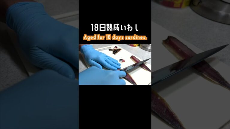 18日熟成イワシ#shorts