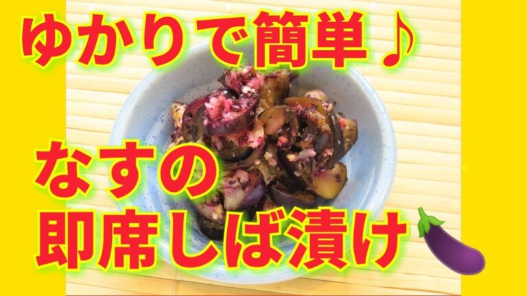 ★レシピ動画★作り置きにも☆ゆかりを使って簡単♪なすの即席しば漬け★【hirokoh(ひろこぉ)のおだいどこ】