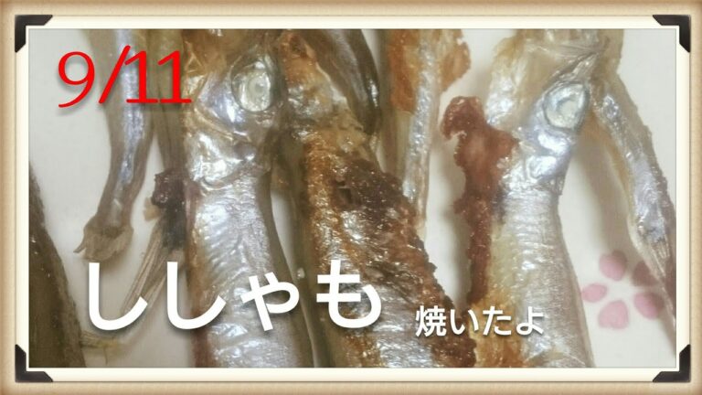 料理 簡単 ししゃもを焼いてみたよ [うるち]