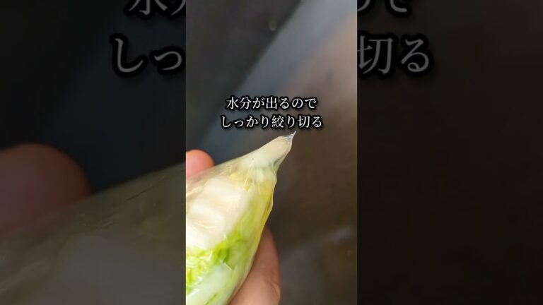 シャキシャキ！無限白菜漬けレシピ #shorts #レシピ #recipe #cooking #料理