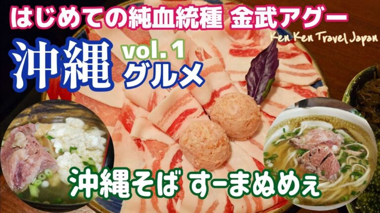【沖縄 Vol.1】はじめての純血統種100％金武アグー 沖縄そば「すーまぬめえ」
