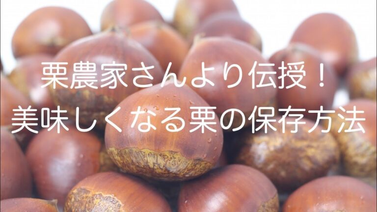 栗農家さんより伝授！栗が3倍も甘く美味しくなる保存方法‼︎