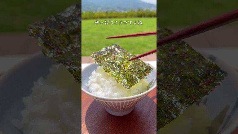 【めんたいのり】ごはんを巻いておいしい！ピリ辛明太子風味の韓国のり