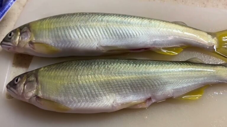 96歳7ヶ月母の日常142　筍尽くし