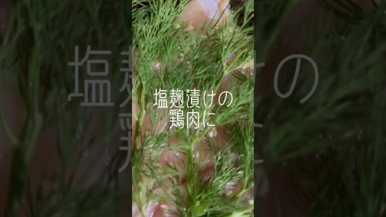 お肉に合うという「ディル」自家製塩麹漬けの鶏むね肉に乗せてみる〜(´∀｀*)#ハーブ #自家製 #塩麹 #鶏むね肉 #日常 #楽しむ #本来の自分 #shorts