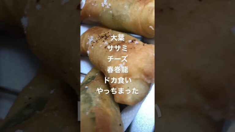 大葉ササミチーズ春巻きドカ食いやっちまった　#大葉　#ササミ　#チーズ　#春巻き　#春巻龍　#ドカ食い