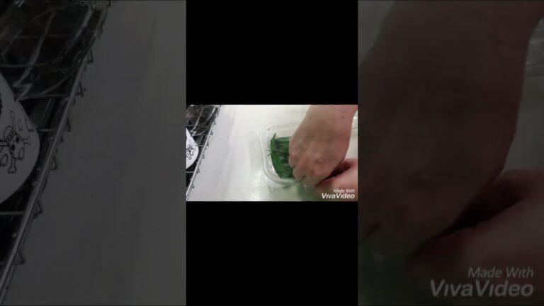 【牛角】やみつきになる!丸ごと塩オクラ 開封して味見w