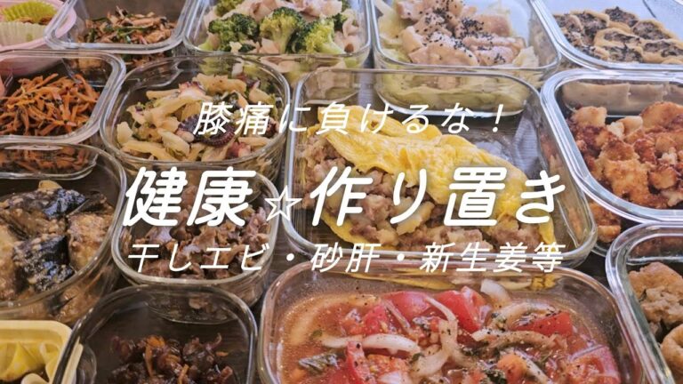 【作り置き13品】和食多め・低カロリー高タンパク食材/新生姜のきんぴら/砂肝/干しエビ/オムレツ等、膝痛意識しつつ夏の健康おかずを♪＃作り置き夜ご飯＃夜ご飯メニュー＃よるごはん