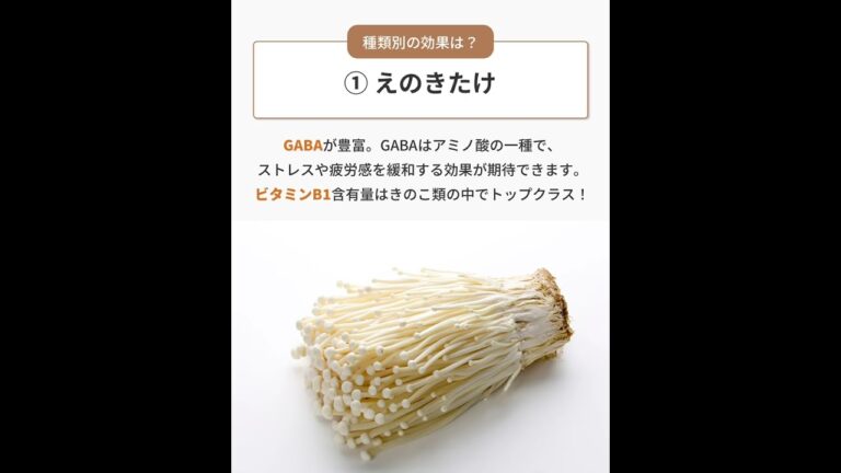 【腸活コラム】美容効果爆上がりするきのこの食べ方！#shorts #ショート動画 #腸活 #コラム #美肌 #腸内改善 #美容 #きのこ#食物繊維