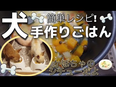 犬の手作りごはんクリームシチュー簡単レシピ！【98】