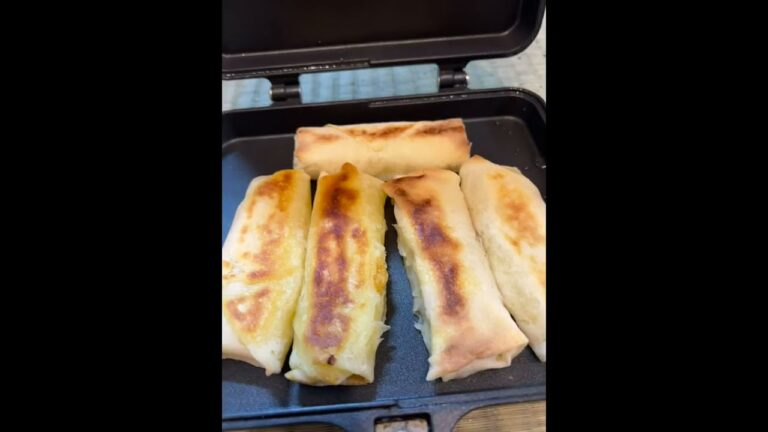 リロ氏に憧れた犬がチーズポテト春巻きを食べるだけの動画　#料理 #shorts #cooking