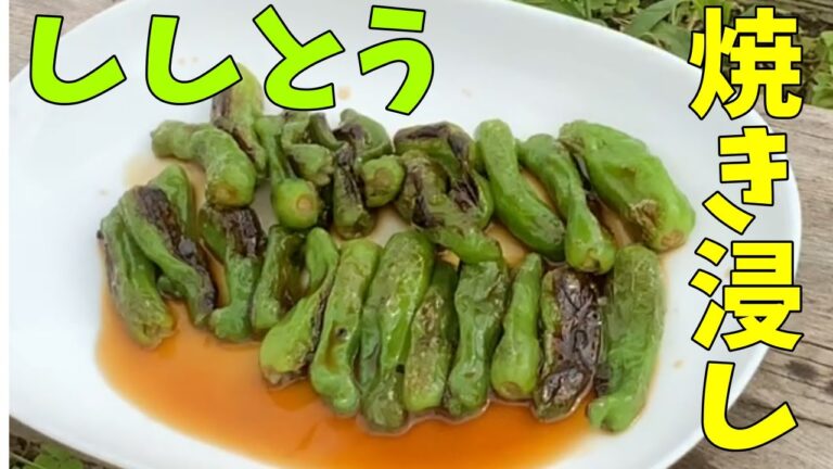 【ししとうの焼きびたし】無限に食べられるししとうのレシピ【簡単で本当に病みつきになる焼き浸しの作り方】