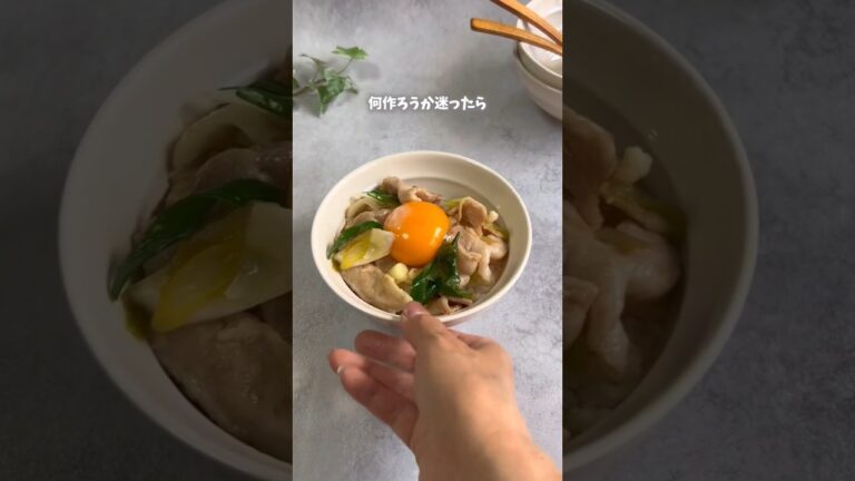 Pork and green onion stamina bowl 😋🍜| 豚肉と長ネギのスタミナ丼