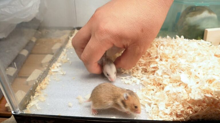 朝から鼻を突くアンモニア臭。臭いの臭いの飛んでけ～～