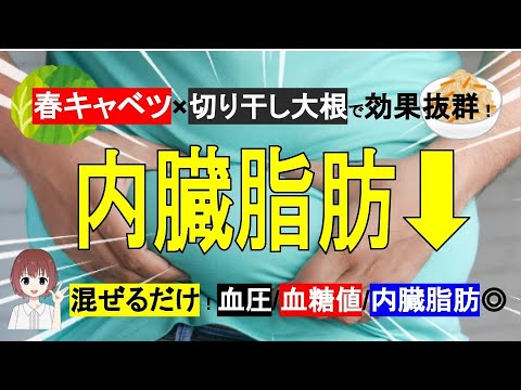 【春キャベツ×切り干し大根】混ぜるだけ！内臓脂肪/血圧/血糖値◎食事の最初に食べると効果抜群！【管理栄養士】